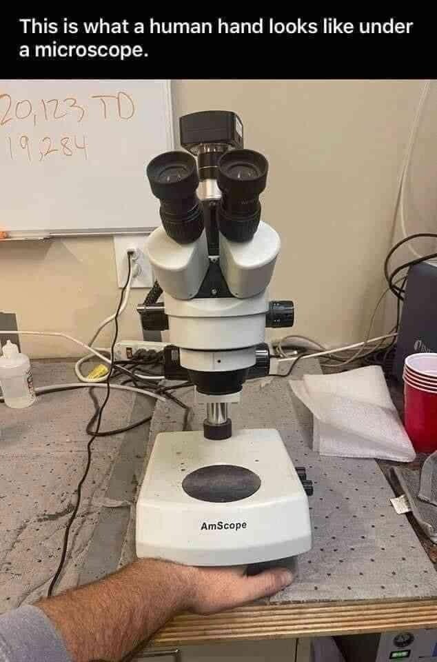 Human Hand Under A Microscope
